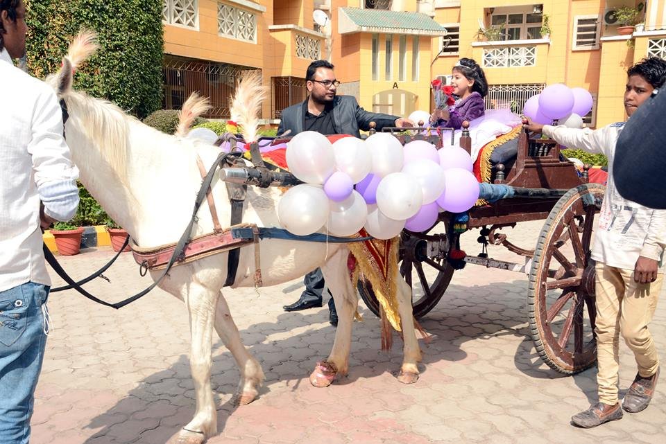 Romantic Surprise Decoration in Gurgaon Delhi Noida Contact 9711655952 20 balloon decoration