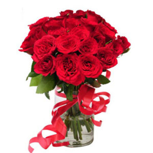 pure red rose delight in a glass vase