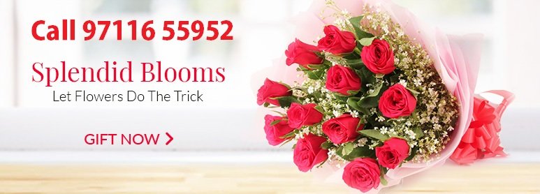 Rose Flowers Delivery Agra | Valentine Red Roses Flower in Agra