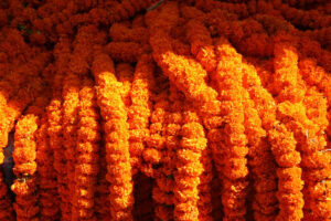 marigold Mala flower decorations, genda flower Mala Decoration, Marigold Genda Ladi Chain Decoration