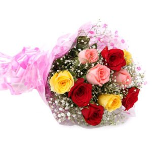 colourful rose