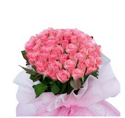 Bunch of pink roses