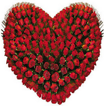 Heart shape arrangement of 100 red roses