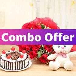 Combo Offers