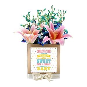 0000849 customized box new born