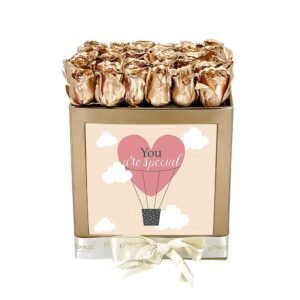 0002211 you are special box with gold roses