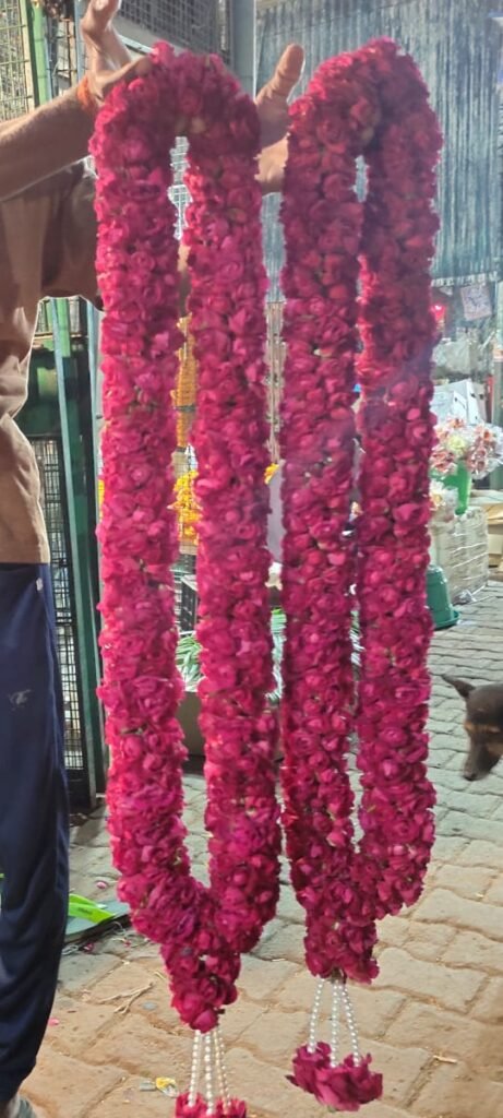 Wedding Rose petals Garland, Orchid Jaimala, Rose Jaimala, New Style Jaimala, Orchid Flower Jaimala, Tube Roses jaimala , rajnigandha and roses Jaimala , jasmine and lilly varmala garlands, virat kohli jaimala varmala haar, pink and white jaimala , red and white flower varmala, blue orchid jaimala, purple orchid varmala ,  special rose petals jaimala