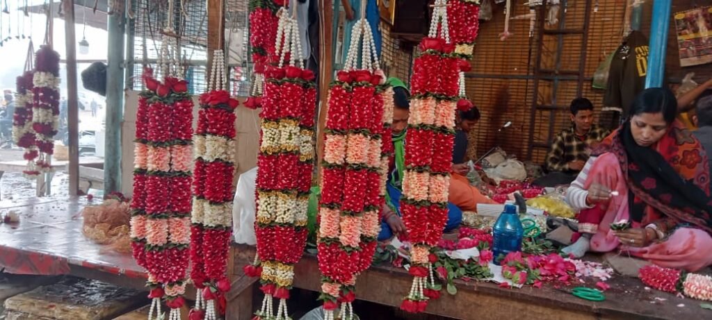 
Wedding Rose petals Garland, Orchid Jaimala price, Rose Jaimala, New Style Jaimala, Orchid Flower Jaimala near me shop, Tube Roses jaimala , rajnigandha and roses Jaimala , jasmine and lilly varmala garlands price , virat kohli jaimala varmala haar, buy pink and white jaimala online price  , red and white flower varmala, blue orchid jaimala, purple orchid varmala ,  special rose petals jaimala near me