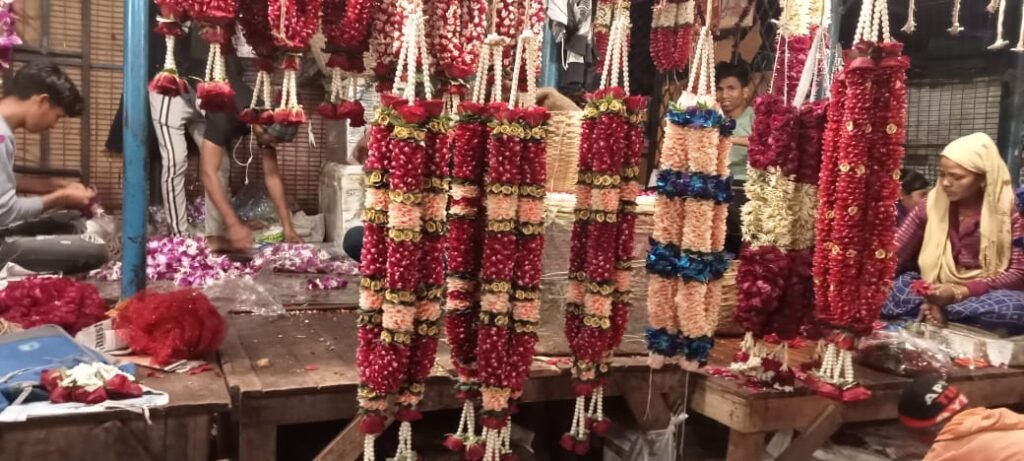 
Wedding Rose petals Garland, Orchid Jaimala price, Rose Jaimala, New Style Jaimala, Orchid Flower Jaimala near me shop, Tube Roses jaimala , rajnigandha and roses Jaimala , jasmine and lilly varmala garlands price , virat kohli jaimala varmala haar, buy pink and white jaimala online price  , red and white flower varmala, blue orchid jaimala, purple orchid varmala ,  special rose petals jaimala near me