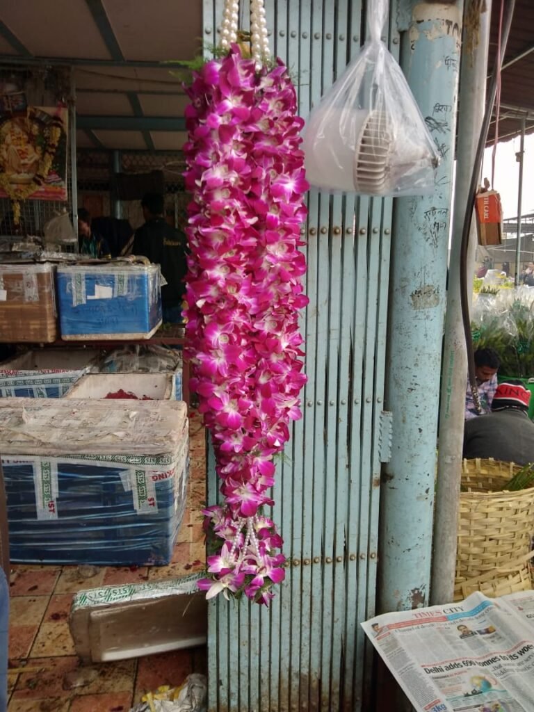 
Wedding Rose petals Garland, Orchid Jaimala price, Rose Jaimala, New Style Jaimala, Orchid Flower Jaimala near me shop, Tube Roses jaimala , rajnigandha and roses Jaimala , jasmine and lilly varmala garlands price , virat kohli jaimala varmala haar, buy pink and white jaimala online price  , red and white flower varmala, blue orchid jaimala, purple orchid varmala ,  special rose petals jaimala near me