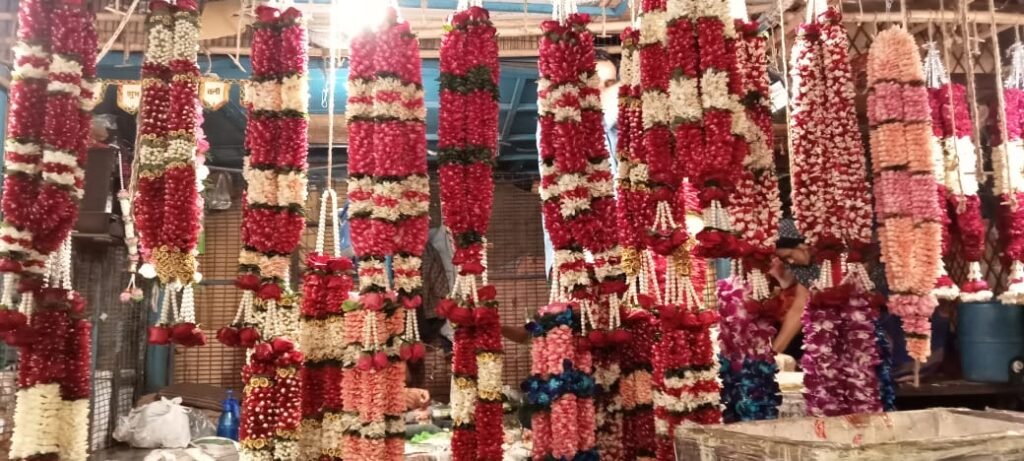 
Wedding Rose petals Garland, Orchid Jaimala price, Rose Jaimala, New Style Jaimala, Orchid Flower Jaimala near me shop, Tube Roses jaimala , rajnigandha and roses Jaimala , jasmine and lilly varmala garlands price , virat kohli jaimala varmala haar, buy pink and white jaimala online price  , red and white flower varmala, blue orchid jaimala, purple orchid varmala ,  special rose petals jaimala near me