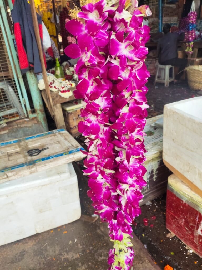 Wedding Rose petals Garland, Orchid Jaimala price, Rose Jaimala, New Style Jaimala, Orchid Flower Jaimala near me shop, Tube Roses jaimala , rajnigandha and roses Jaimala , jasmine and lilly varmala garlands price , virat kohli jaimala varmala haar, buy pink and white jaimala online price  , red and white flower varmala, blue orchid jaimala, purple orchid varmala ,  special rose petals jaimala near me