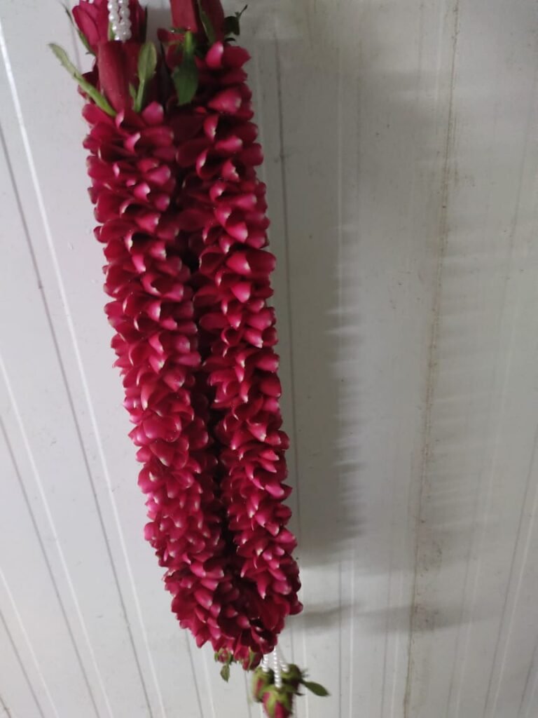 Wedding Rose petals Garland, Orchid Jaimala price, Rose Jaimala, New Style Jaimala, Orchid Flower Jaimala near me shop, Tube Roses jaimala , rajnigandha and roses Jaimala , jasmine and lilly varmala garlands price , virat kohli jaimala varmala haar, buy pink and white jaimala online price  , red and white flower varmala, blue orchid jaimala, purple orchid varmala ,  special rose petals jaimala near me