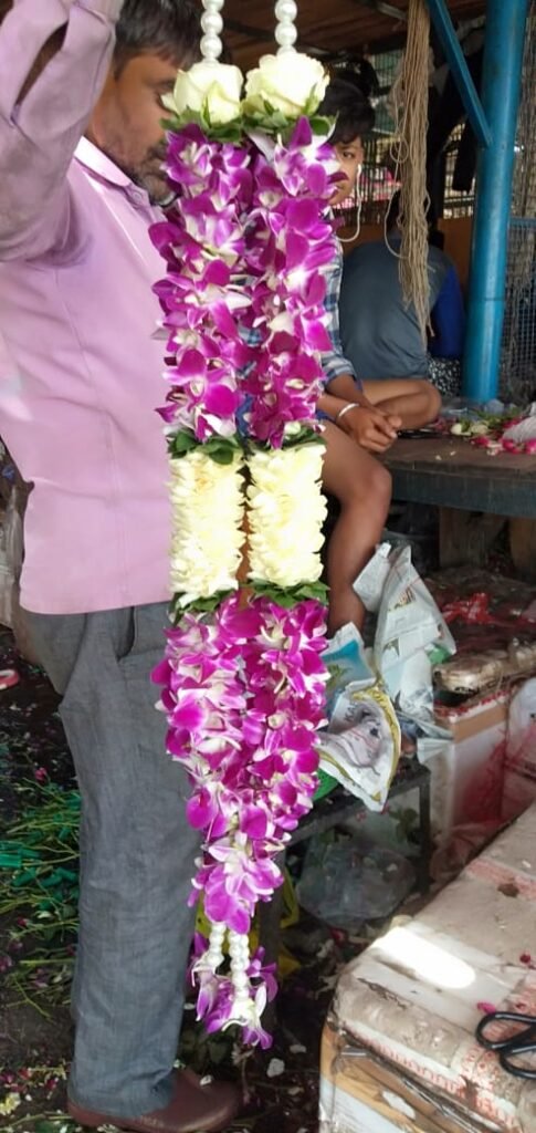 Wedding Rose petals Garland, Orchid Jaimala price, Rose Jaimala, New Style Jaimala, Orchid Flower Jaimala near me shop, Tube Roses jaimala , rajnigandha and roses Jaimala , jasmine and lilly varmala garlands price , virat kohli jaimala varmala haar, buy pink and white jaimala online price  , red and white flower varmala, blue orchid jaimala, purple orchid varmala ,  special rose petals jaimala near me