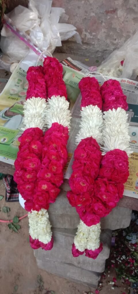 Wedding Rose petals Garland, Orchid Jaimala price, Rose Jaimala, New Style Jaimala, Orchid Flower Jaimala near me shop, Tube Roses jaimala , rajnigandha and roses Jaimala , jasmine and lilly varmala garlands price , virat kohli jaimala varmala haar, buy pink and white jaimala online price  , red and white flower varmala, blue orchid jaimala, purple orchid varmala ,  special rose petals jaimala near me