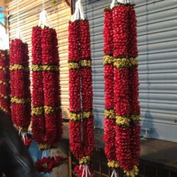 red rose petals jaimala shop near me wedding jaimala varmala garland haar for marriage