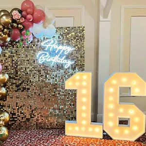 sparkle celebration decoration kit 2